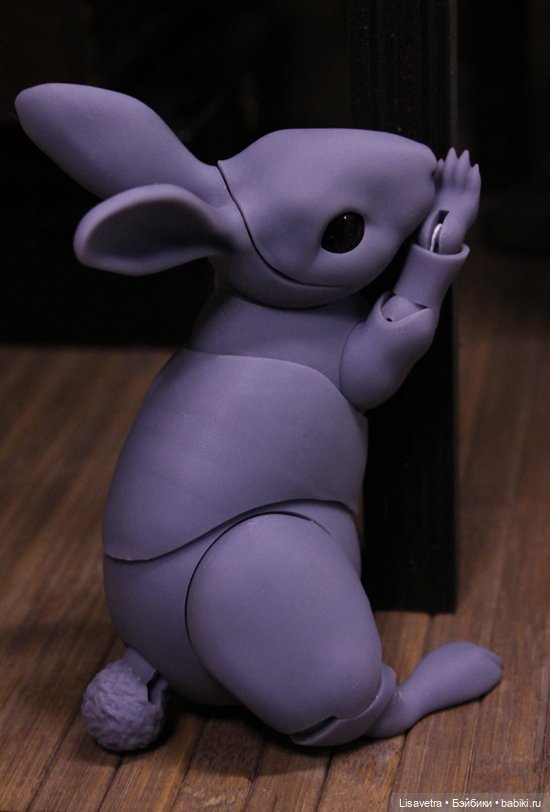 Кроль и капуста... И Лотта (фото 4)