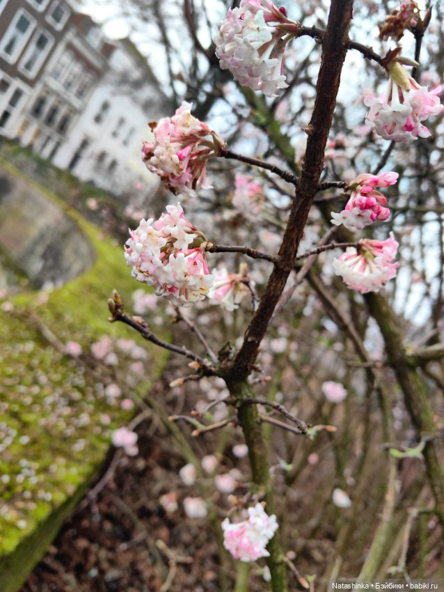 Музыкальная История 93 — Туризм и путешествия: фотоотчеты из поездок (фото 5)