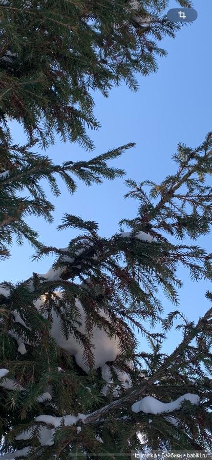 Авторские куклы Жу и Пики за городом (фото 4)