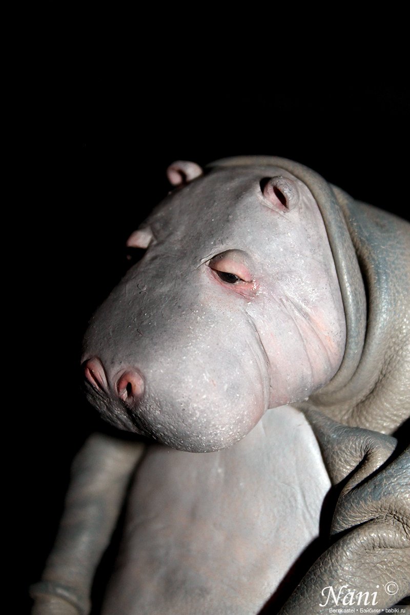 Бегемотик, которому все равно (фото 2)