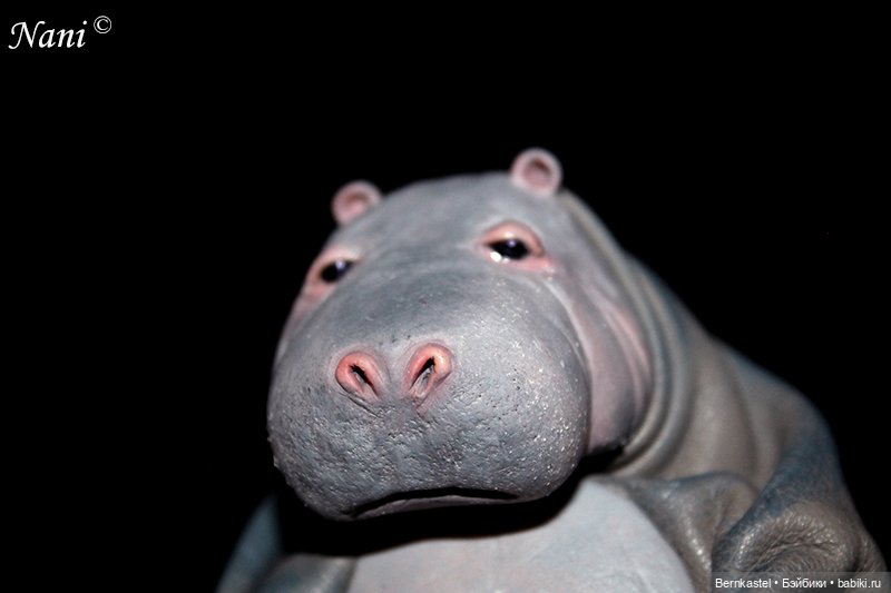 Бегемотик, которому все равно