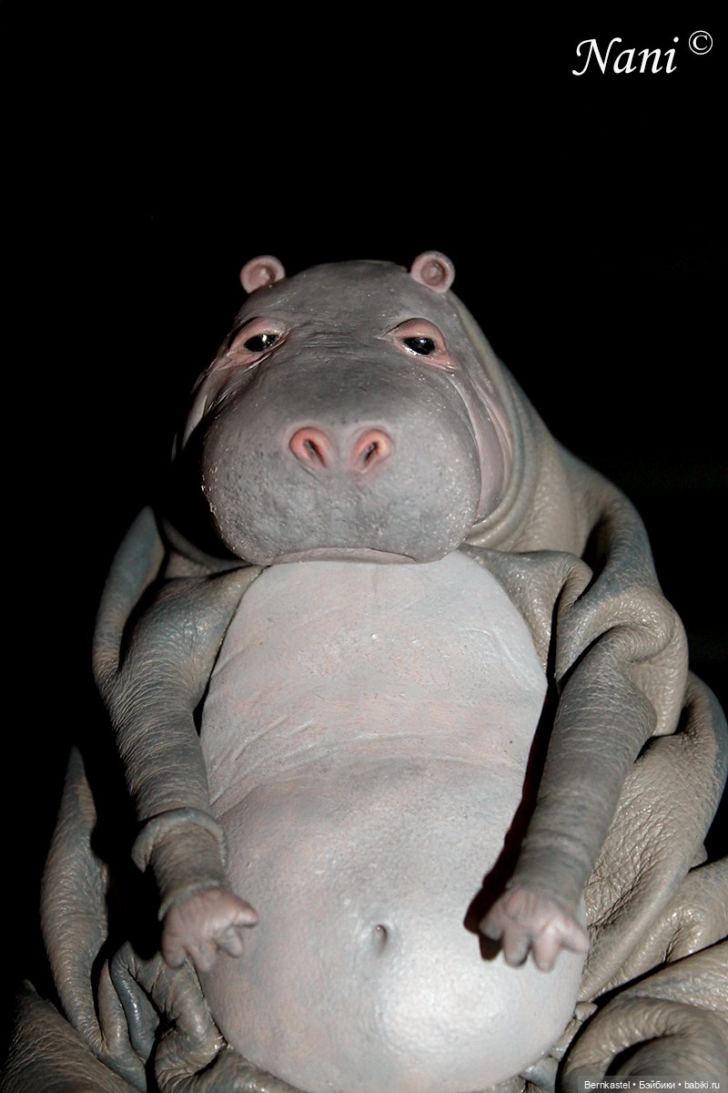Бегемотик, которому все равно (фото 4)