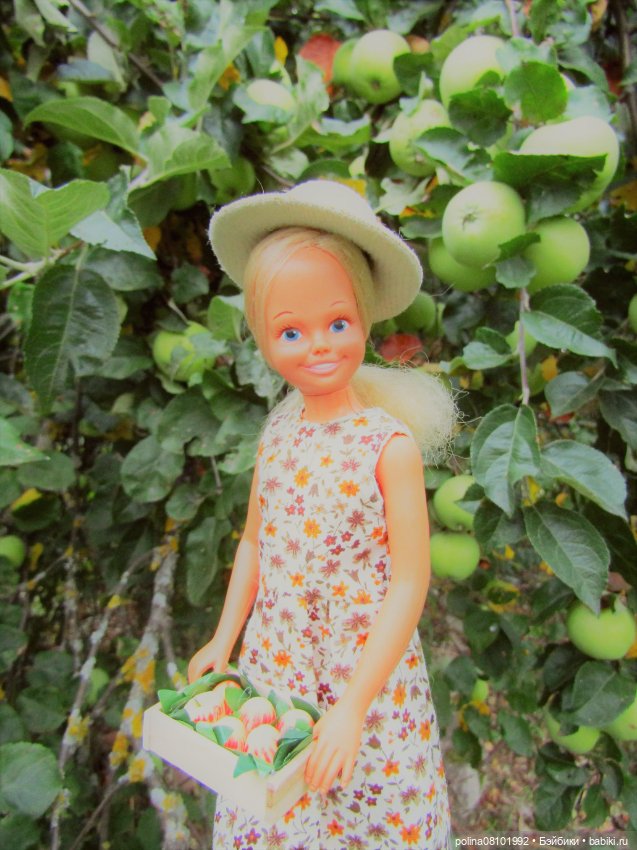 Аналоги Барби и куклы 1/6: клоны 90 (фото 2)