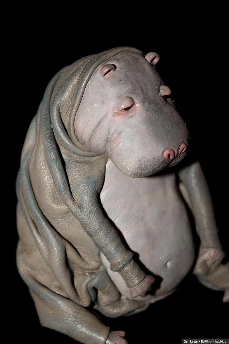 Бегемотик, которому все равно (фото 3)