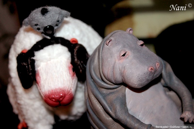 Бегемотик, которому все равно