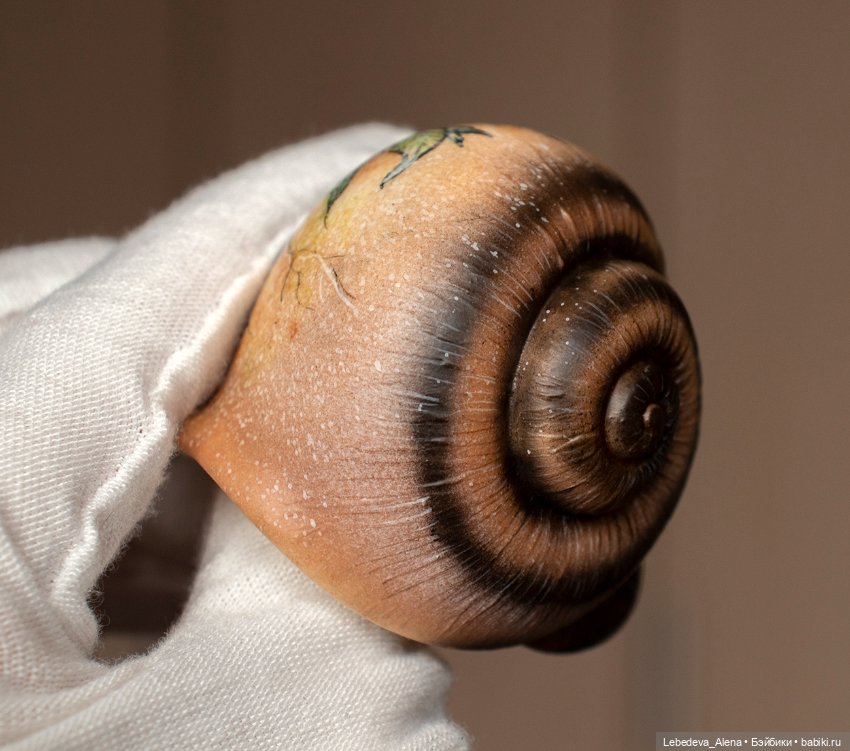 Улиточные работы, часть 1 (фото 2)