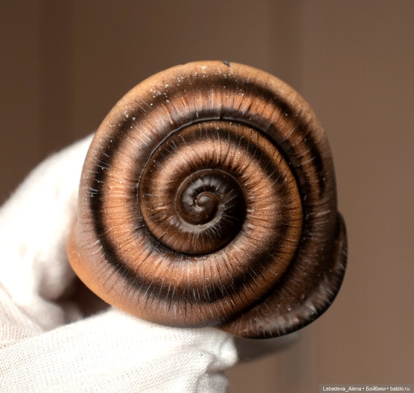 Улиточные работы, часть 1