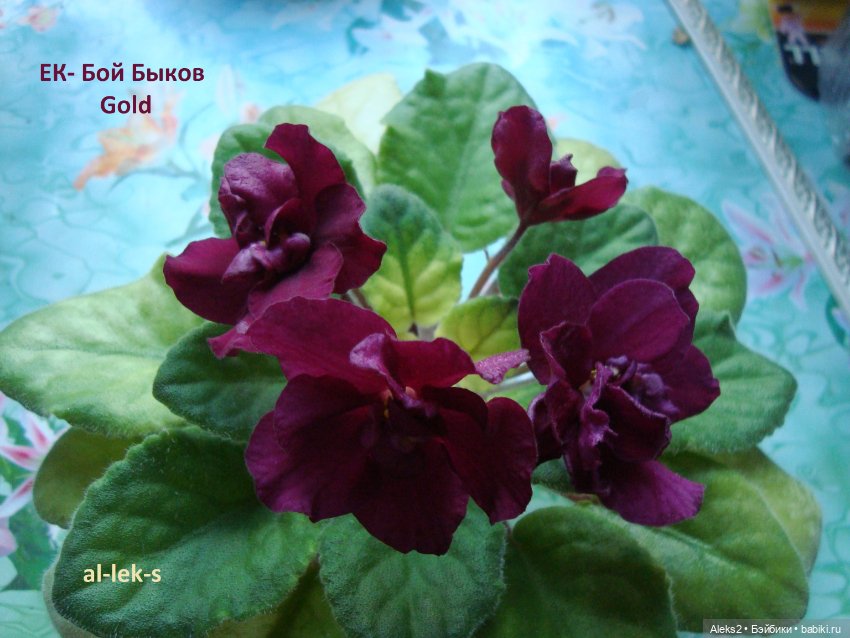 Моя любовь к куклам ГДР. Spielzeug Rauenstein ГДР Топтыжки и мои комнатные фиалки