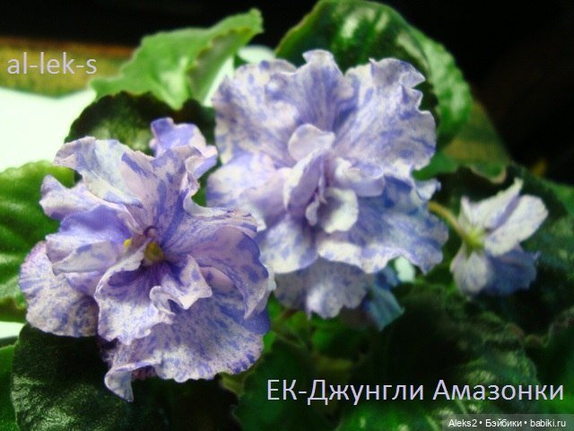 Моя любовь к куклам ГДР. Spielzeug Rauenstein ГДР Топтыжки и мои комнатные фиалки