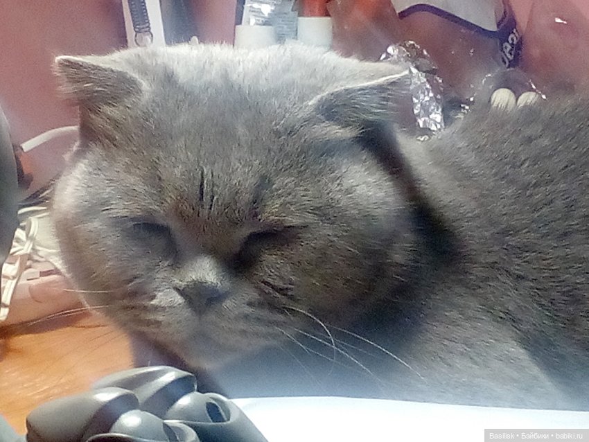 Просто Топик — Авторские шарнирные куклы своими руками: лепка