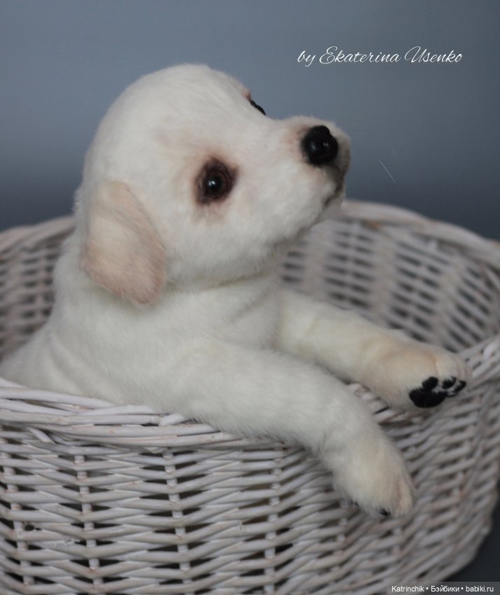 Щенок лабрадора — Авторские мишки Тедди и друзья: фото