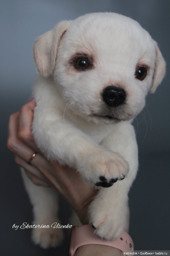 Щенок лабрадора — Авторские мишки Тедди и друзья: фото