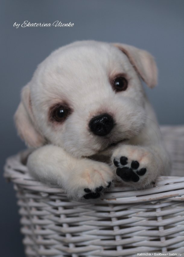 Щенок лабрадора — Авторские мишки Тедди и друзья: фото