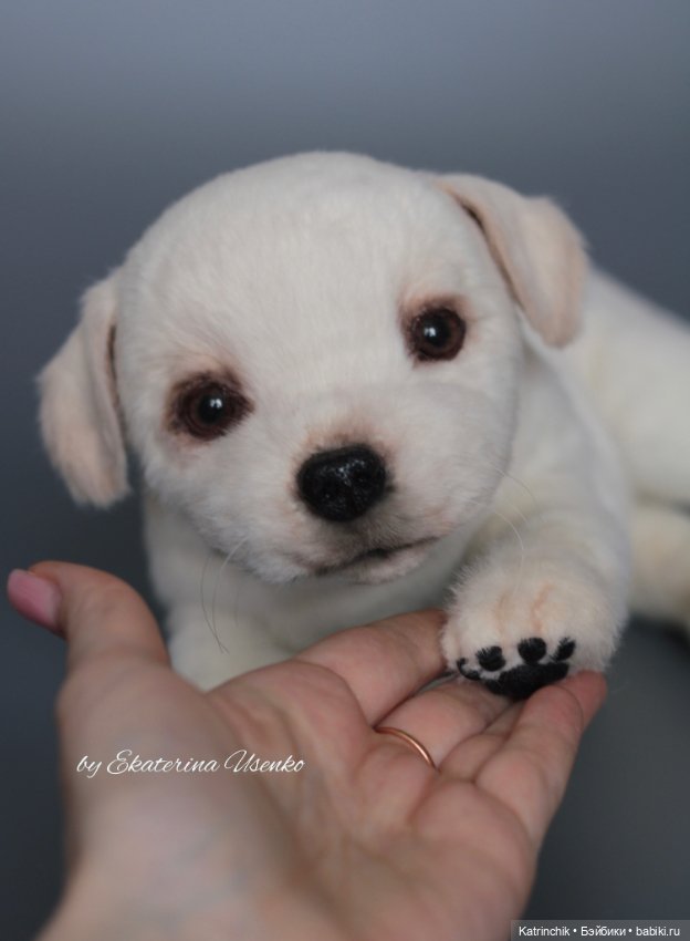 Щенок лабрадора — Авторские мишки Тедди и друзья: фото
