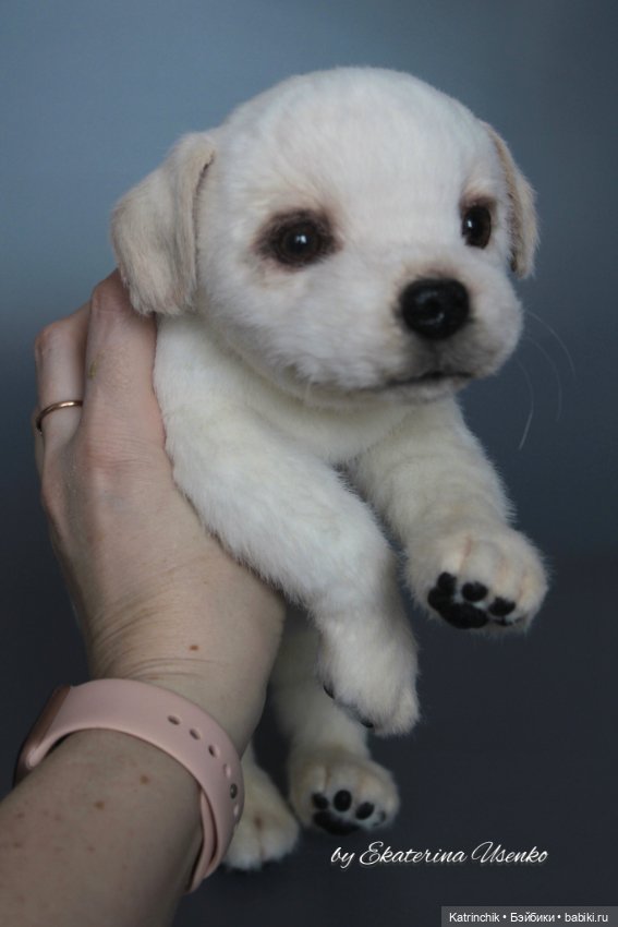 Щенок лабрадора — Авторские мишки Тедди и друзья: фото (фото 7)