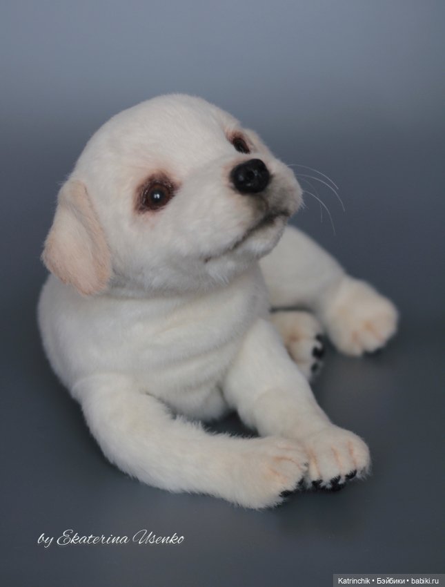 Щенок лабрадора — Авторские мишки Тедди и друзья: фото