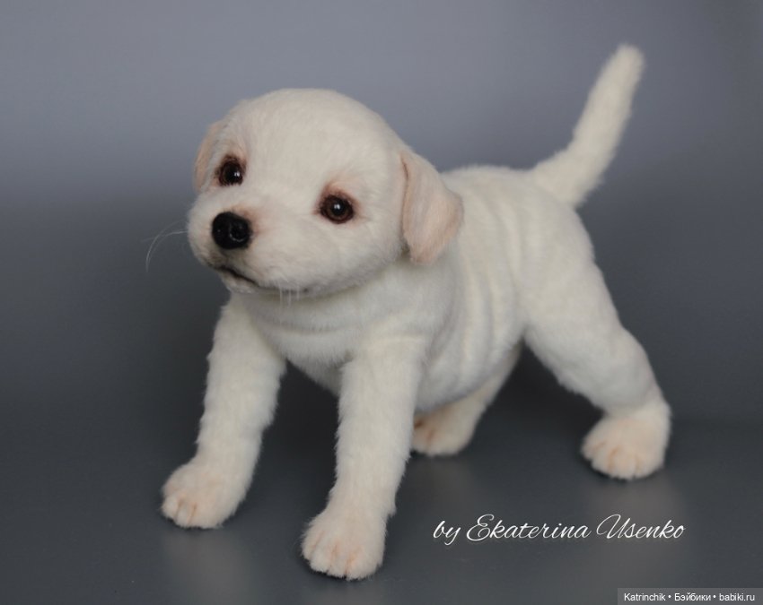 Щенок лабрадора — Авторские мишки Тедди и друзья: фото