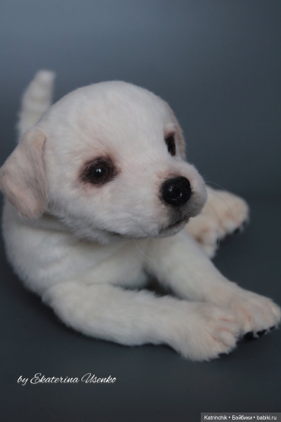 Щенок лабрадора — Авторские мишки Тедди и друзья: фото (фото 3)