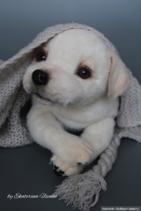 Щенок лабрадора — Авторские мишки Тедди и друзья: фото