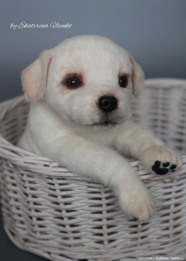 Щенок лабрадора — Авторские мишки Тедди и друзья: фото