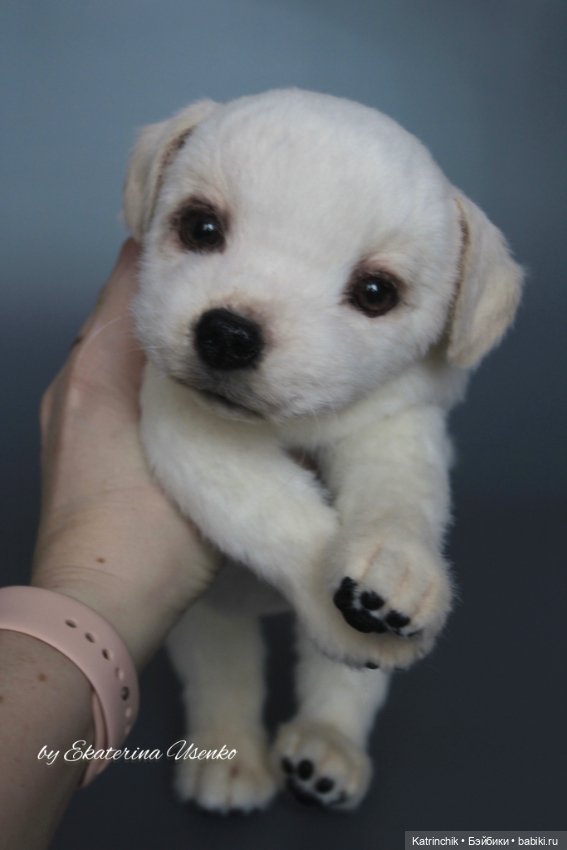 Щенок лабрадора — Авторские мишки Тедди и друзья: фото (фото 8)