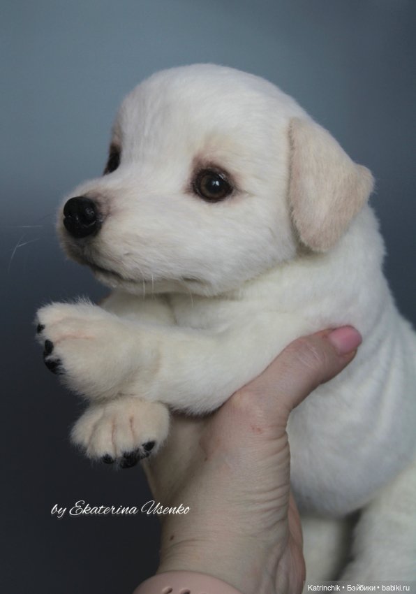 Щенок лабрадора — Авторские мишки Тедди и друзья: фото (фото 9)