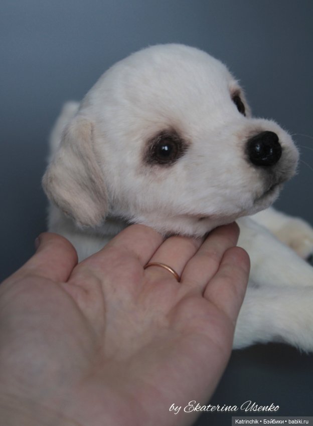 Щенок лабрадора — Авторские мишки Тедди и друзья: фото (фото 4)