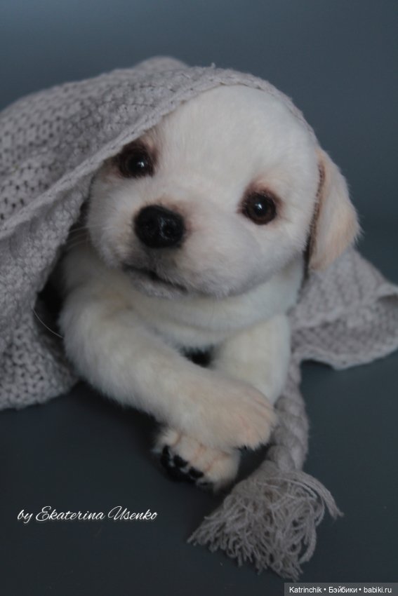 Щенок лабрадора — Авторские мишки Тедди и друзья: фото (фото 2)