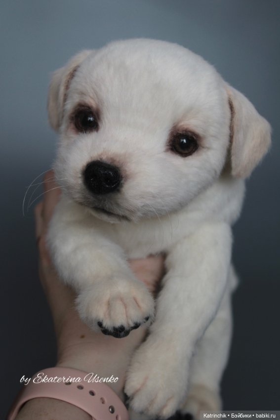 Щенок лабрадора — Авторские мишки Тедди и друзья: фото (фото 10)