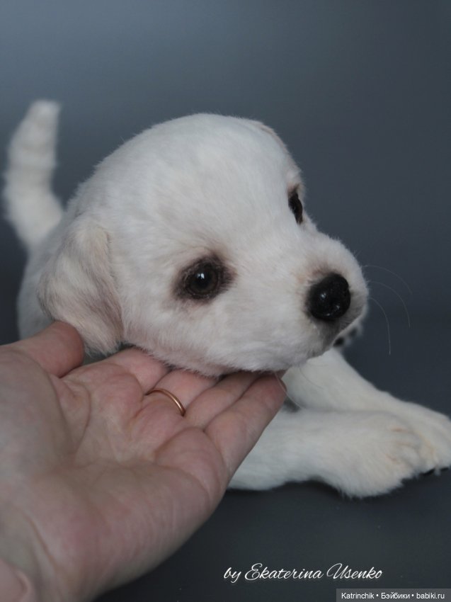 Щенок лабрадора — Авторские мишки Тедди и друзья: фото (фото 5)