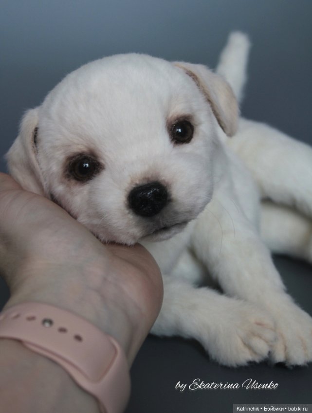 Щенок лабрадора — Авторские мишки Тедди и друзья: фото (фото 6)