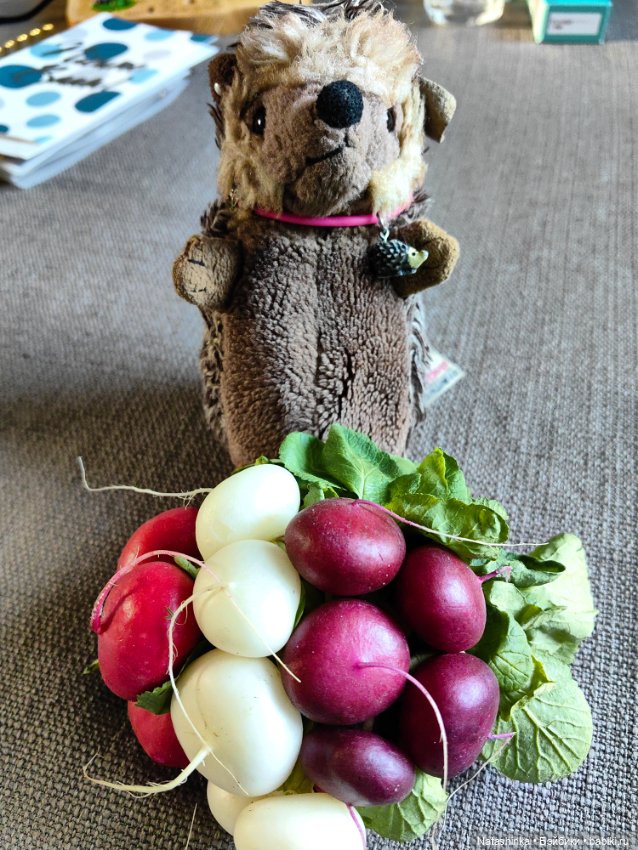 Музыкальная История 96 — Туризм и путешествия: фотоотчеты из поездок