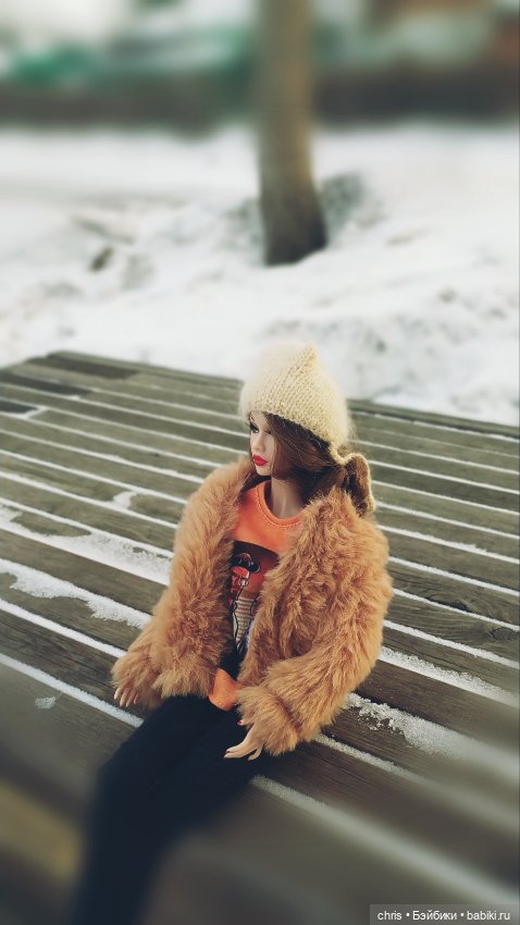 Холодные дни (Poppy Parker) (фото 2)