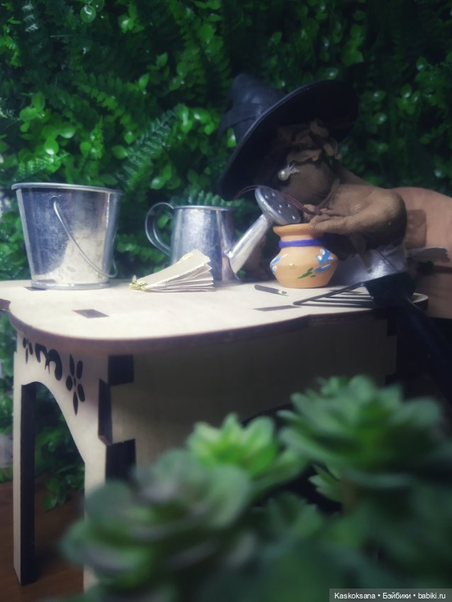 Сны Арины: Мандрагоровый — Мастер (фото 8)