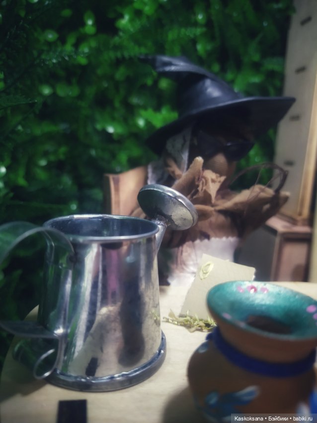 Сны Арины: Мандрагоровый — Мастер (фото 3)