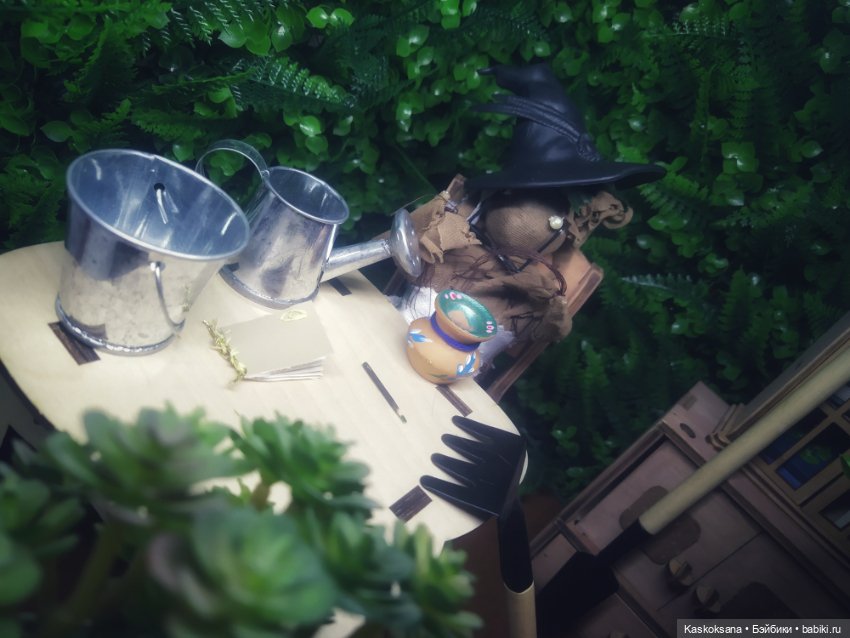 Сны Арины: Мандрагоровый — Мастер