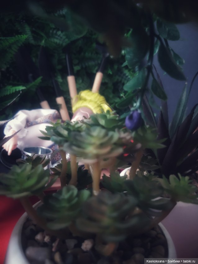 Сны Арины: Мандрагоровый — Мастер