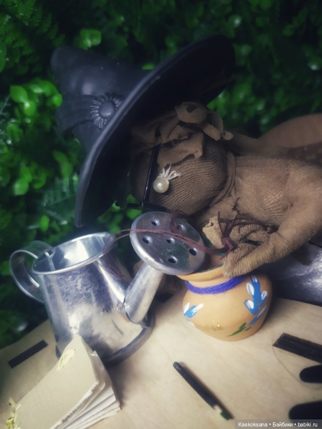 Сны Арины: Мандрагоровый — Мастер (фото 9)