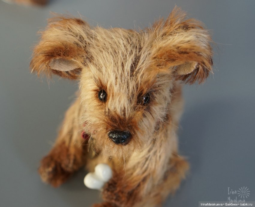 Жозефина, но можно просто Жулька (фото 2)