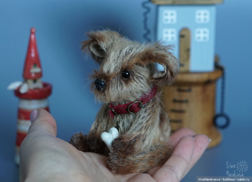 Жозефина, но можно просто Жулька (фото 8)