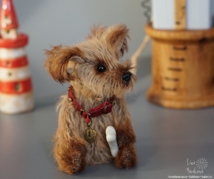 Жозефина, но можно просто Жулька (фото 3)