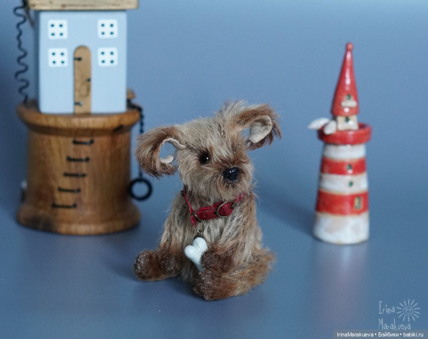 Жозефина, но можно просто Жулька (фото 9)