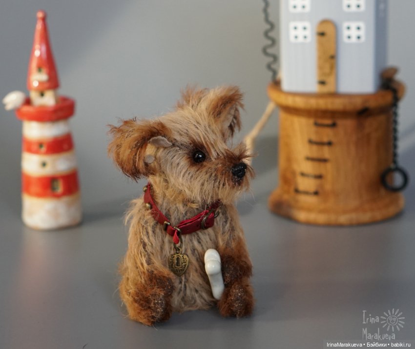 Жозефина, но можно просто Жулька (фото 4)