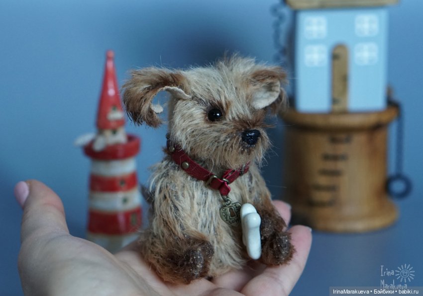 Жозефина, но можно просто Жулька (фото 5)