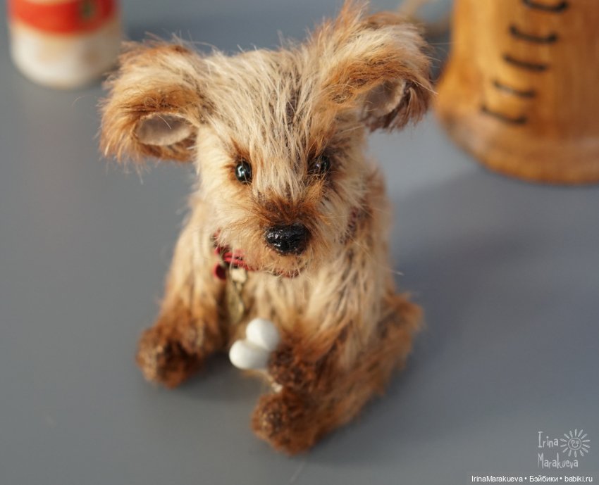 Жозефина, но можно просто Жулька (фото 6)