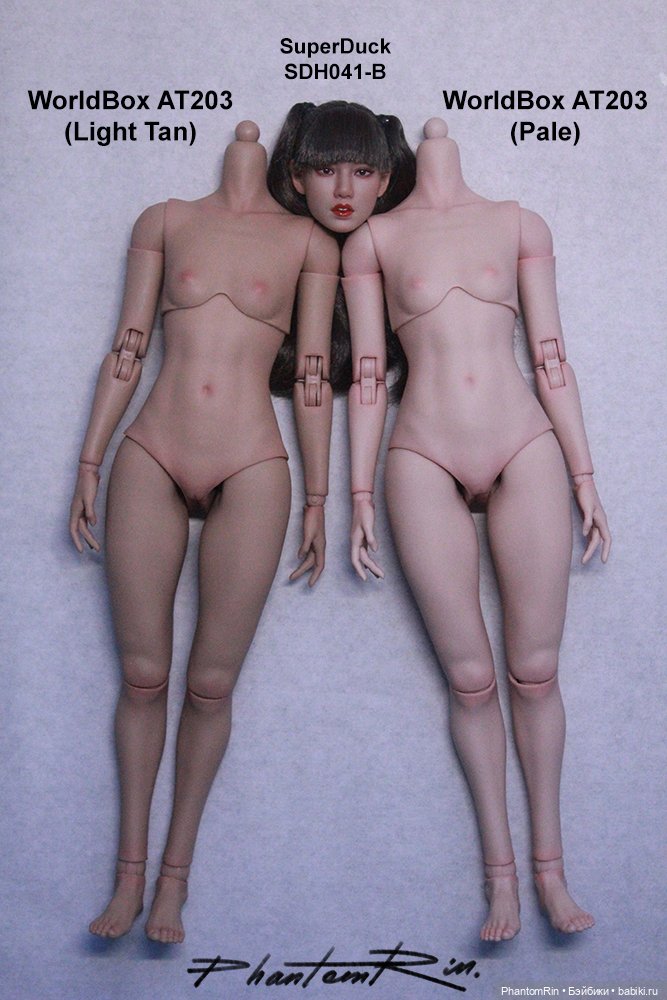 Совместимость тонов тушек WorldBox и головы SuperDuck (фото 3)