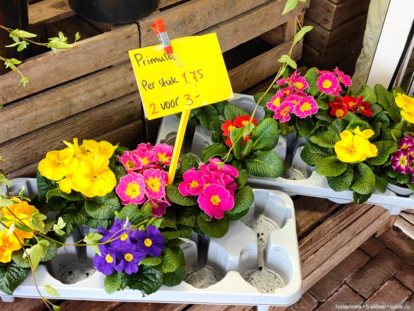 Музыкальная История 97 — Туризм и путешествия: фотоотчеты из поездок (фото 6)