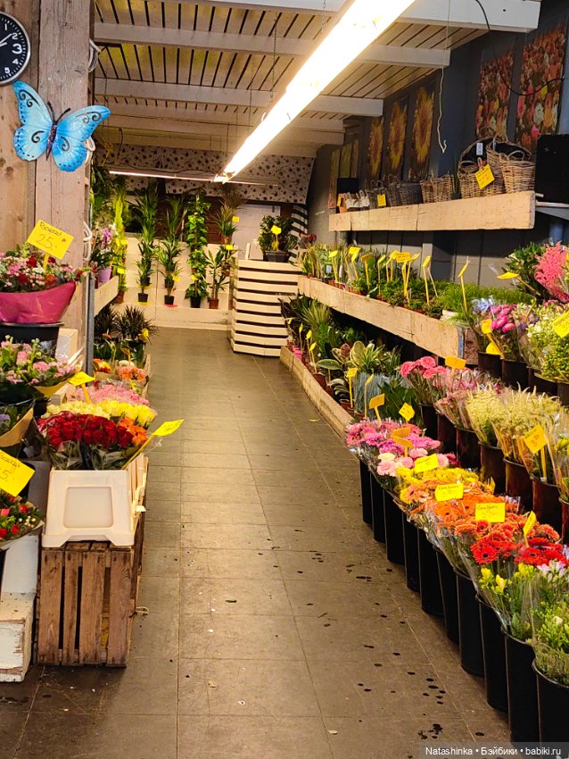 Музыкальная История 97 — Туризм и путешествия: фотоотчеты из поездок (фото 7)