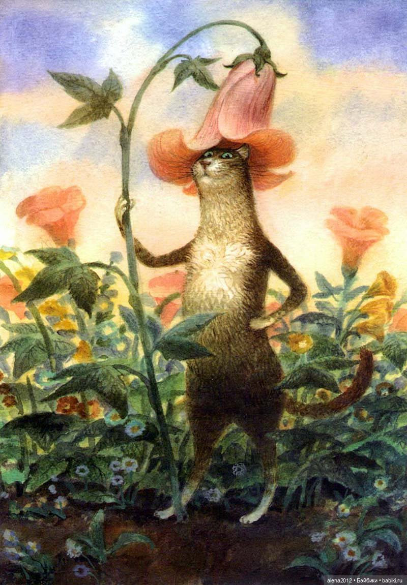 Петербургские коты! Прекрасны всегда! Особенно в марте