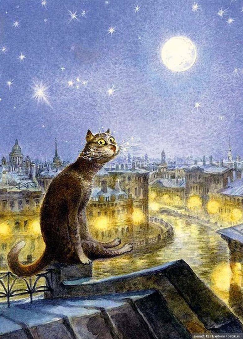 Петербургские коты! Прекрасны всегда! Особенно в марте